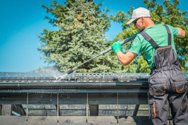 Venice Roof Cleaning