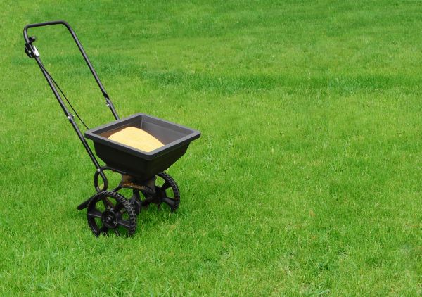 Venice Lawn Treatment