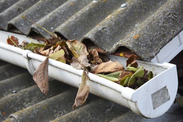 Venice Gutter Cleaning